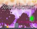 Jouer au Square adventures