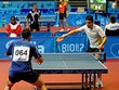 Championnat du monde 2011 de tennis de table